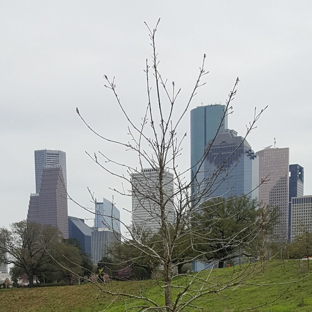 Meet your Posher, LW